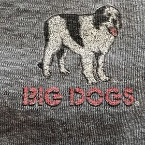 Vintage Big Dogs Shirt Mens 2x Big Dogs American Tradition" Dogs 2001 Surfer